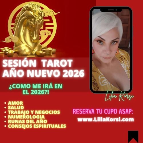 WhatsApp Image 2025-11-20 at 17.54.13